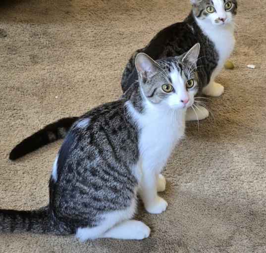 Photo of Two Dot
