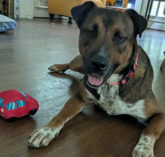 Photo of Echo