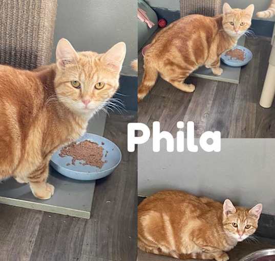 Photo of Phila