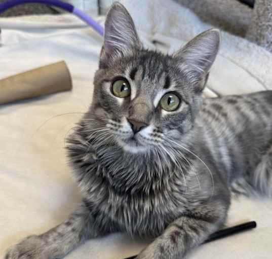 Photo of Quinnie