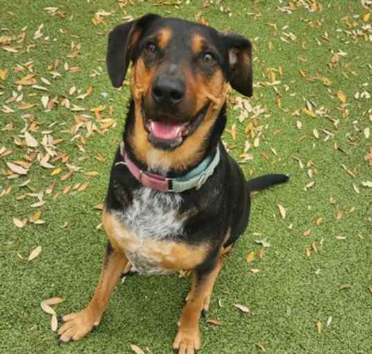 Photo of *RALPHIE