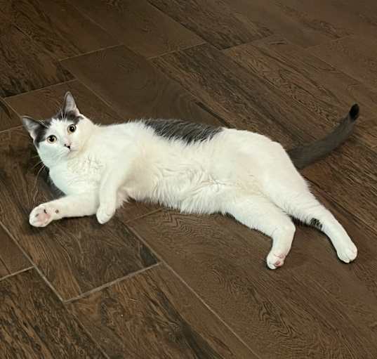 Photo of Tallie