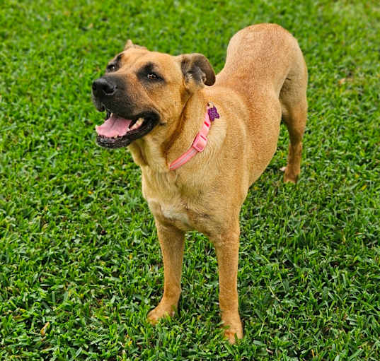 Photo of Sandy