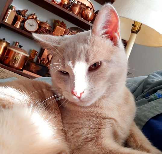 Photo of Rudy