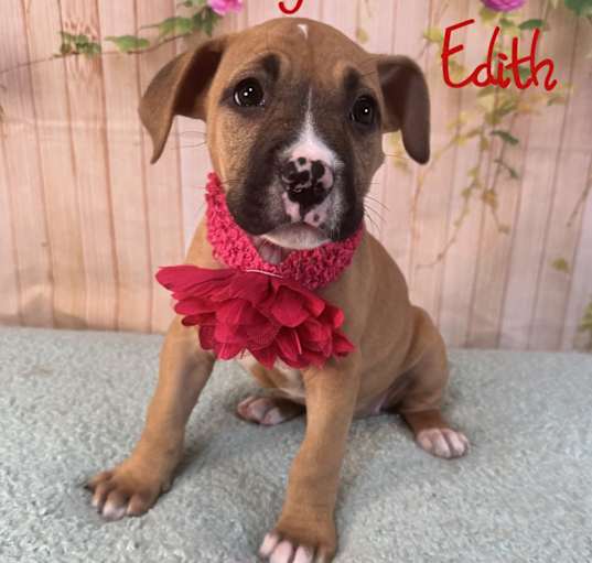 Photo of Edith