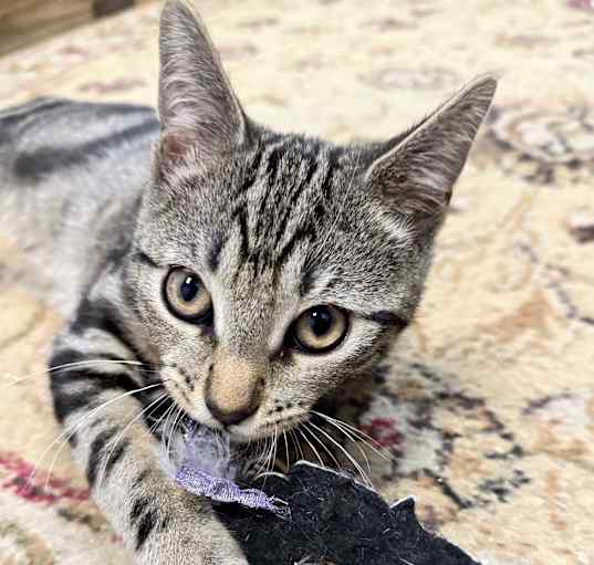 Photo of Eros