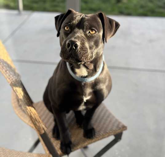 Photo of Charlie