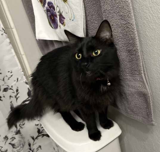 Photo of Duchess