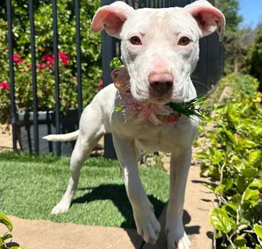 Photo of Winnie