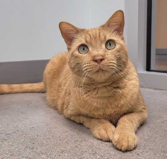 Photo of Butterball