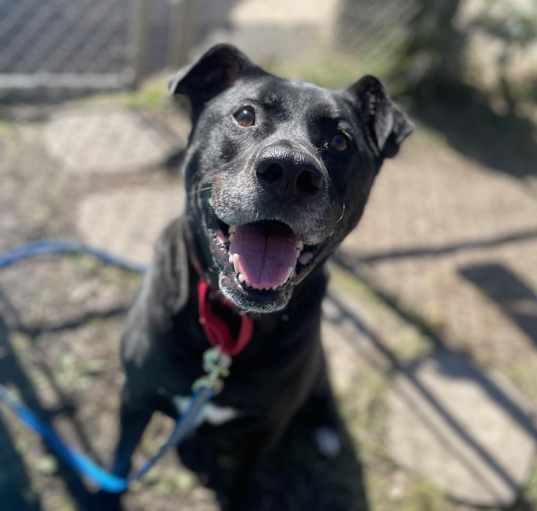 Photo of Astro
