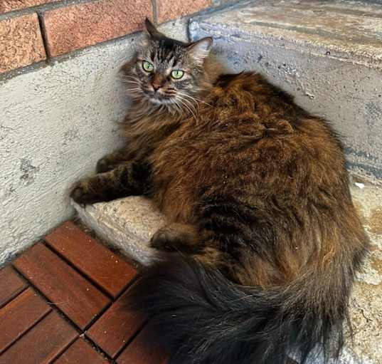 Photo of Duke