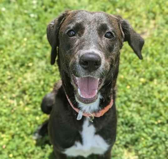 Photo of Geez Louise