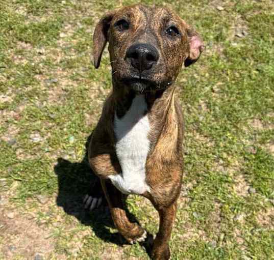 Photo of WINESLY/URGENT