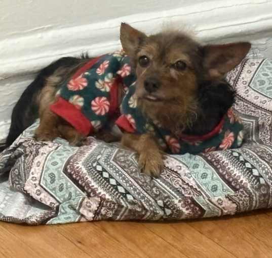 Photo of Thor