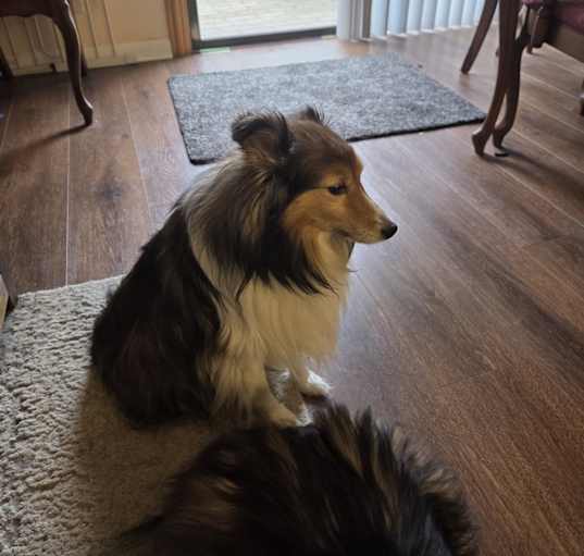 Photo of Abigail