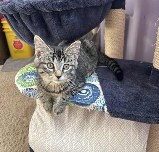 Photo of Nellie