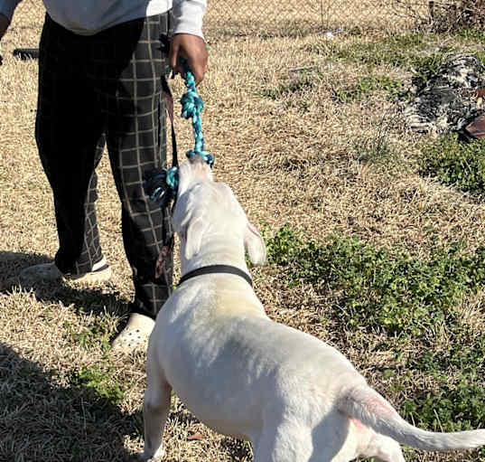 Photo of Bubba