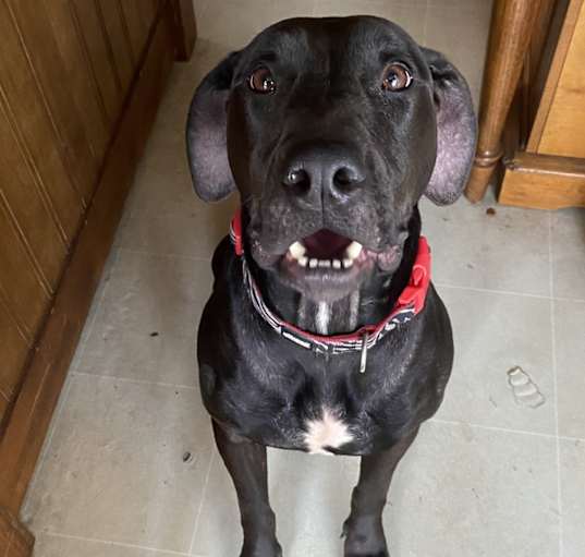 Photo of Sosa