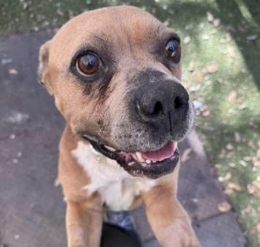Photo of *BUGSY