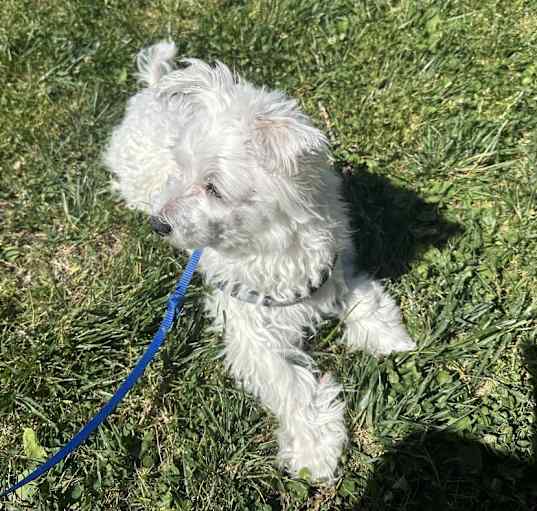 Photo of Sammy