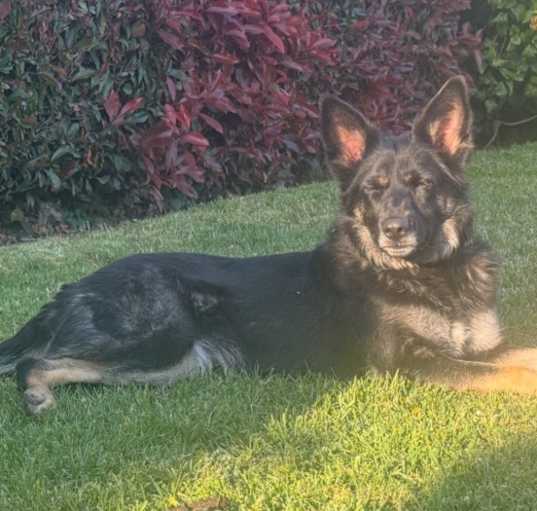 Photo of shadow
