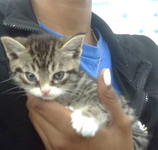 Photo of LOVEBUG