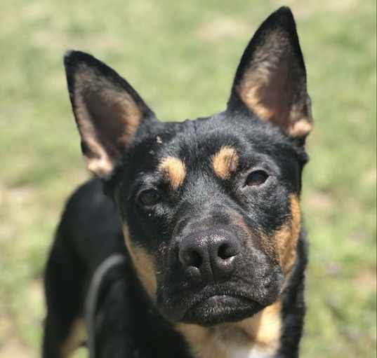 Photo of BRUNO W