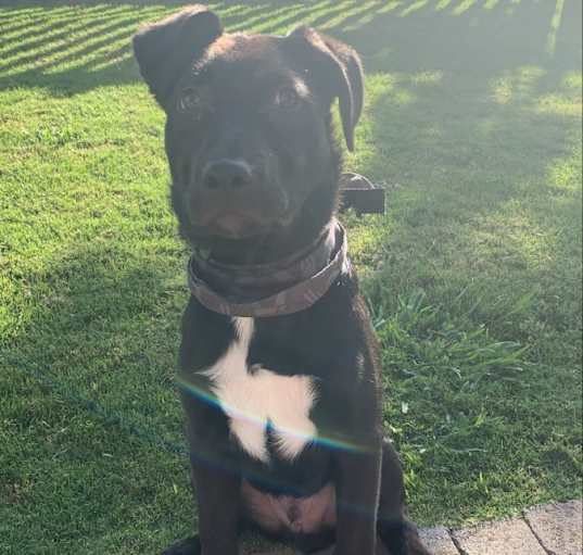 Photo of Kylo
