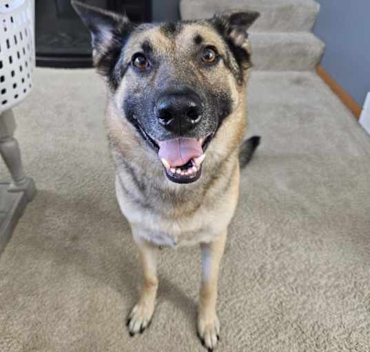 Photo of Marley