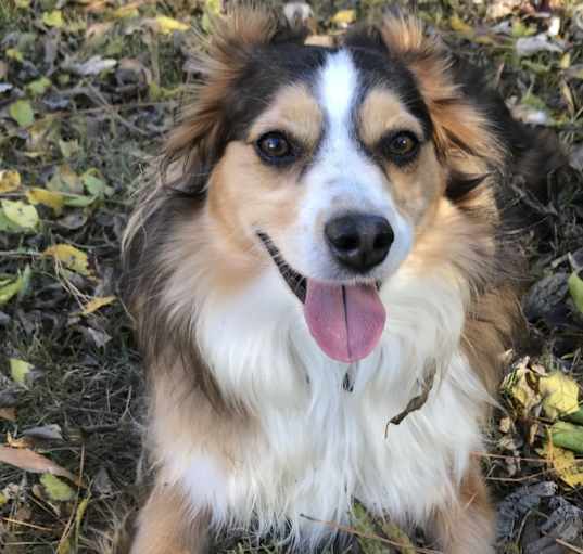 Photo of Oakley