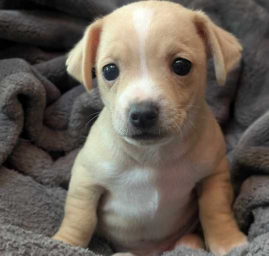 Photo of Titan