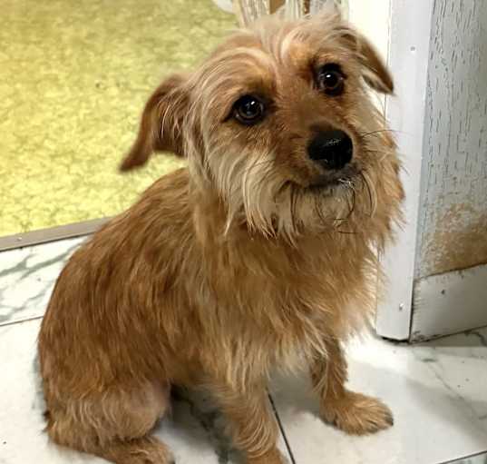 Photo of Sweetie