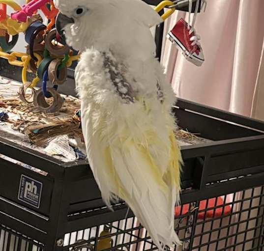 Photo of Colbie