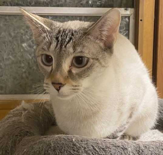 Photo of Blanca 2.14.24