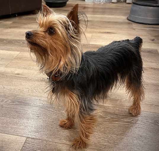 Photo of Macie