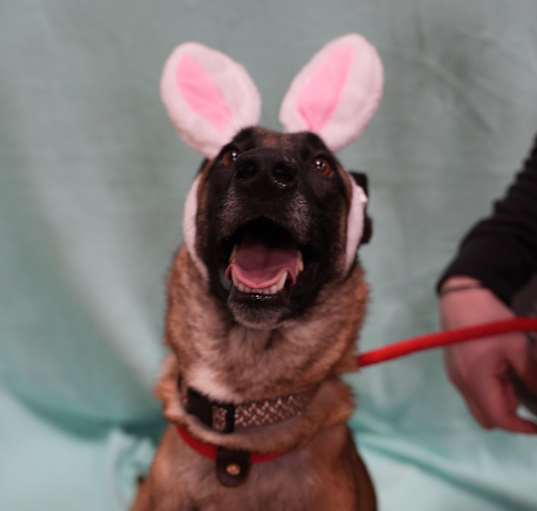Photo of Thumbelina