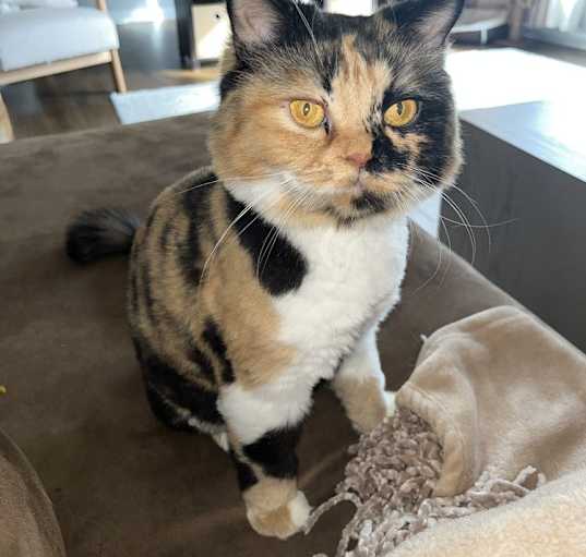 Photo of Lillian