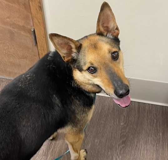 Photo of Fritz