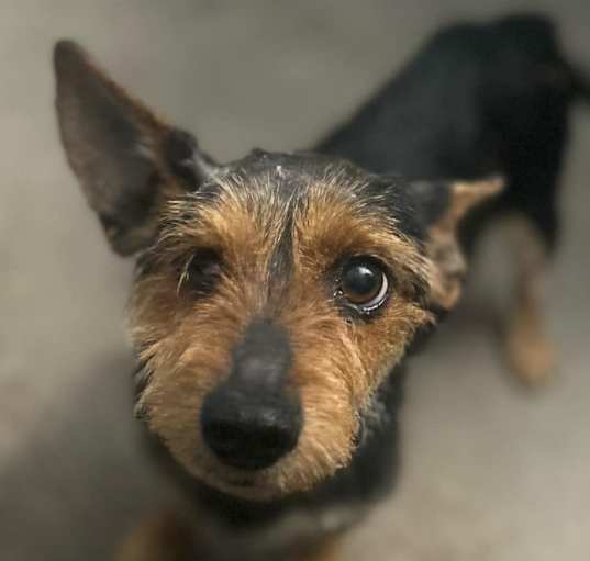 Photo of Bentley