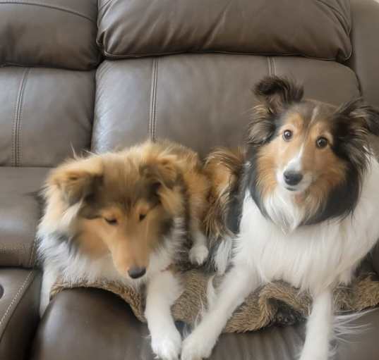 Photo of Abigail (Abbie) & Brandy Rae