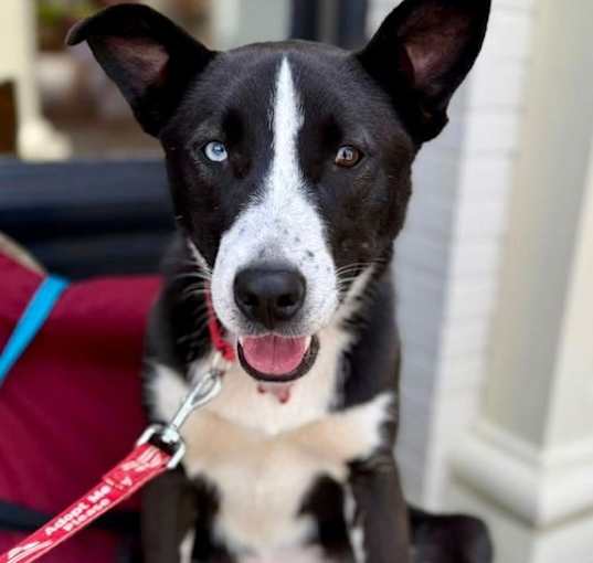 Photo of Bella 2