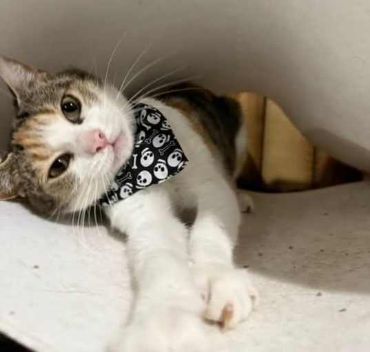 Photo of Matilda