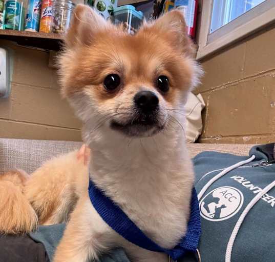 Photo of Ernie