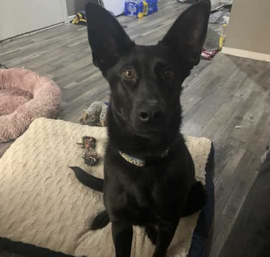 Photo of Mia