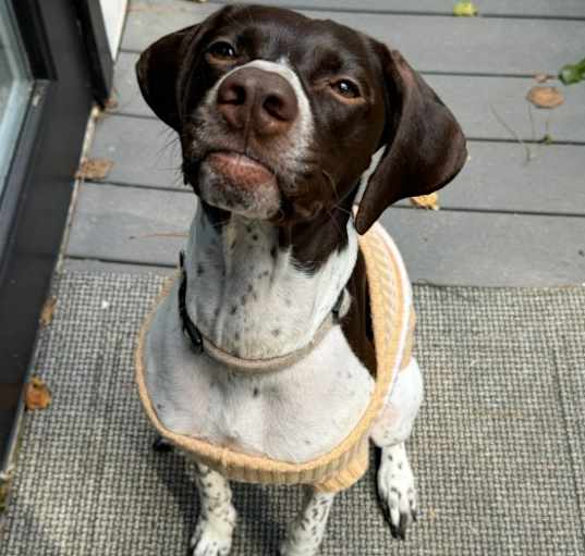 Photo of Ducky