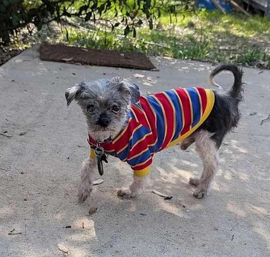 Photo of Bunsen