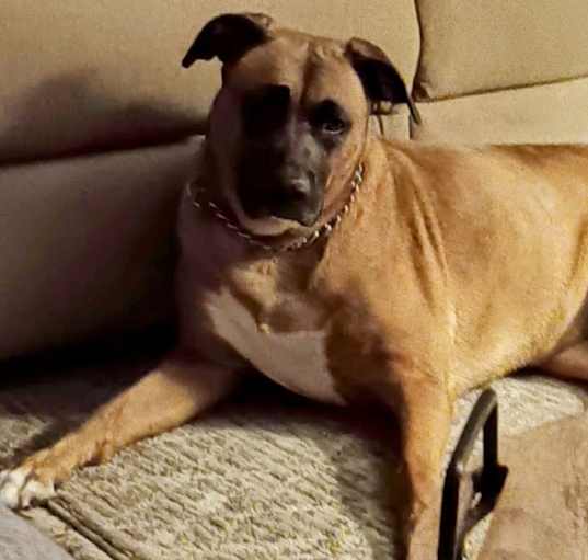 Photo of Lexi
