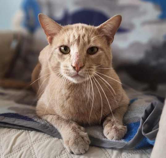 Photo of Artie