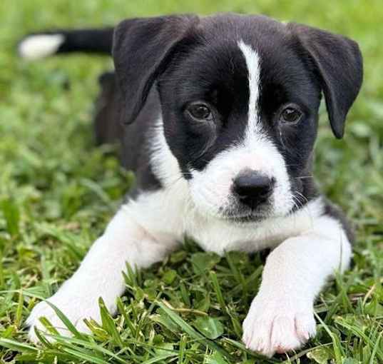 Photo of Penelope